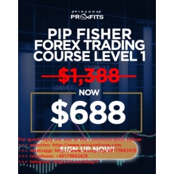 ADAM KHOO Piranha Profits - Forex Trading Course Level 1 - Pip Fisher (Total size: 2.57 GB Contains: 25 files)